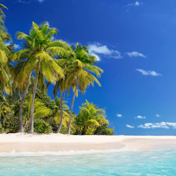 FREE: £2000 Holiday of your Choice