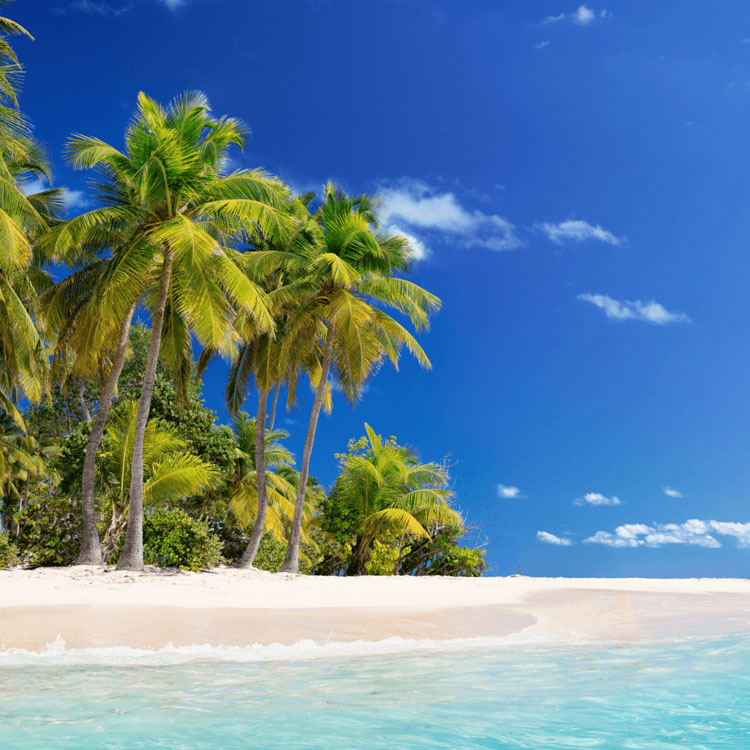 FREE: £2000 Holiday of your Choice